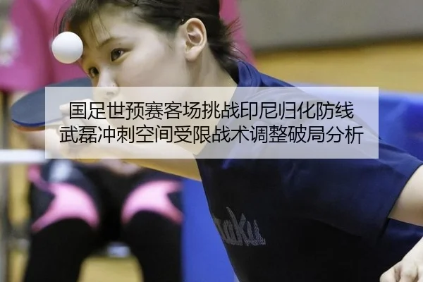 guo-zu-shi-yu-sai-ke-chang-tiao-zhan-yin-ni-gui-hua-fang-xian-wu-lei-chong-ci-kong-jian-shou-xian-zhan-shu-tiao-zheng-3-912.jpg