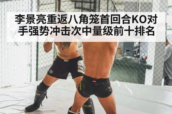 MMA knockout punch