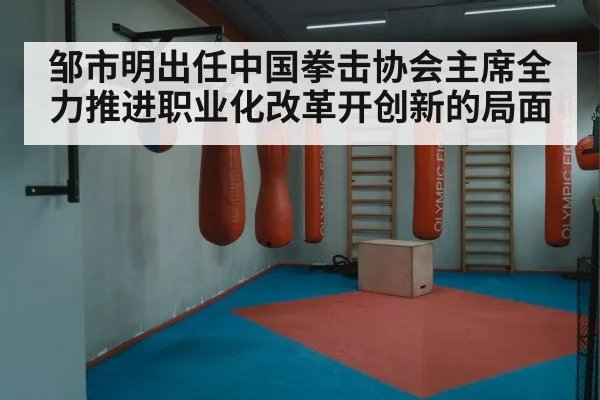 邹市明出任中国拳击协会主席全力推进职业化改革开创新的局面