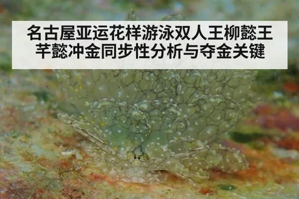 名古屋亚运花样游泳双人王柳懿王芊懿冲金同步性分析与夺金关键